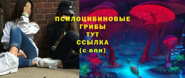 амф Алексеевка