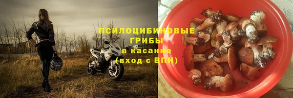 бутират Алзамай