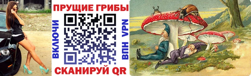 Купить  Красноуфимск  Псилоцибиновые грибы ЛСД 